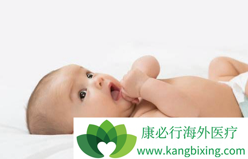 专家肖像